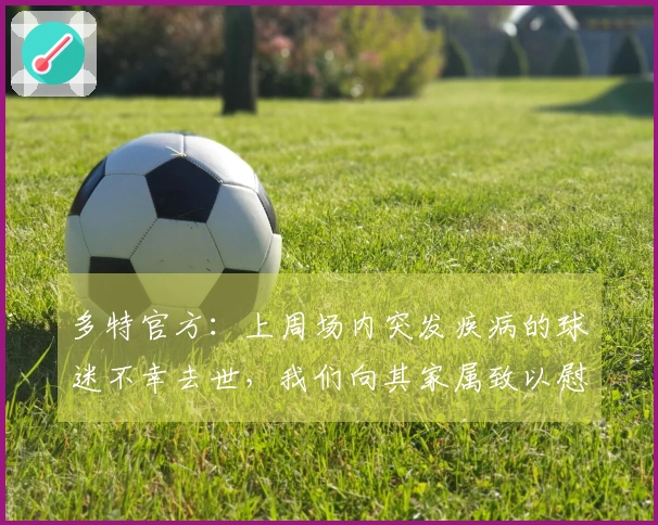 多特官方：上周场内突发疾病的球迷不幸去世，我们向其家属致以慰问
